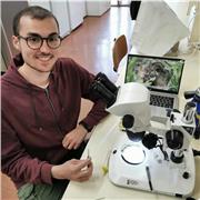 Offro ripetizioni di materie scientifiche (e in parte anche umanistiche).